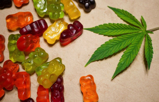How Long Does It Take CBD Gummies to Kick In: Benefits, Uses, and How It Works